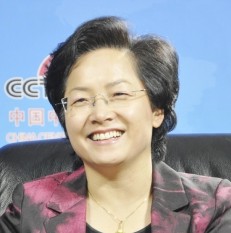 北京市燃氣集團有限責任公司總經理